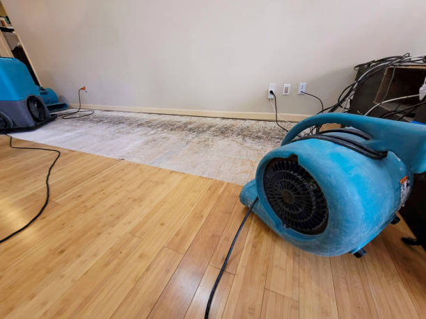 Professional Water Damage Repair technician working in Lowell, AR